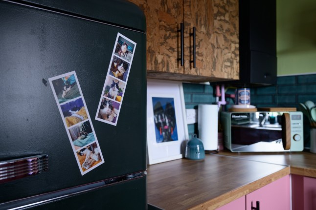 Interior designer Evelyn Lindley inside her one-bedroom flat in Marden, Kent.