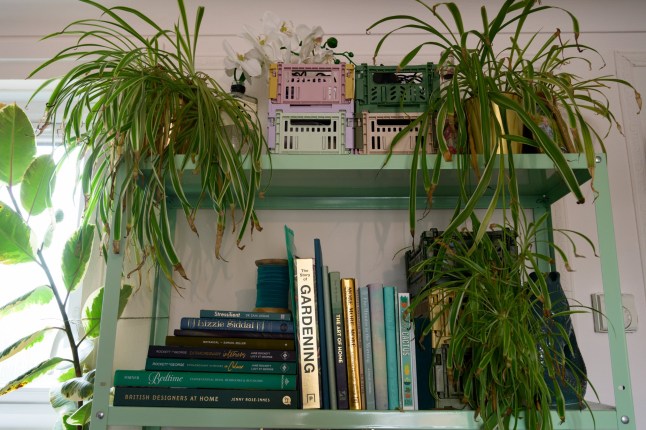 Interior designer Evelyn Lindley inside her one-bedroom flat in Marden, Kent.