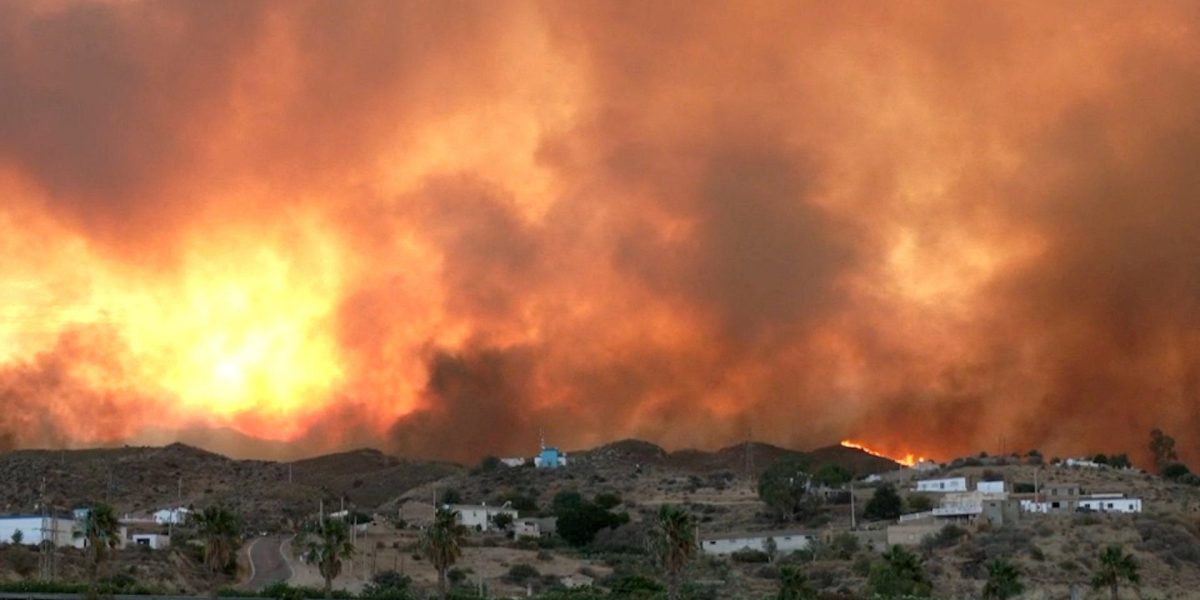 Smoke and flames rise during a wildfire in Los Gallardos, Spain, July 9, 2026 in this screengrab taken from a handout video. Forta/Handout via REUTERS THIS IMAGE HAS BEEN SUPPLIED BY A THIRD PARTY. NO RESALES. NO ARCHIVES. SPAIN OUT. NO COMMERCIAL OR EDITORIAL SALES IN SPAIN.