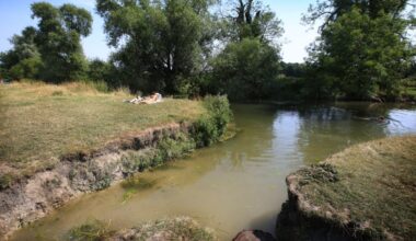 The sewage-filled chalk stream where pollution is 100 times above target