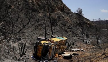 British death toll in Spanish wildfires rises to seven | News World