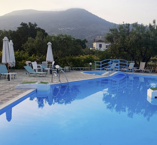 Laura Horton, 53, found the bat drowning in the swimming pool. // A woman was bitten by a bat on holiday - and sought rabies treatment thanks to Google Lens. Laura Horton, 53, was on a two-week birthday trip to Lesbos, Greece, in May 2026 when she found a bat drowning in the swimming pool at apartment complex where she was visiting a friend. She grabbed the animal from the water and let it sit in her hand for 10 minutes to "dry off" - unaware it had bitten her before flying away. Laura wanted to know what type of bat she had rescued, so she uploaded a photo of it sitting in the palm of her hand to Google Lens. As well as identifying it as a pipistrelle bat, the AI programme alerted her to seek medical treatment immediately due to the risk of contracting rabies from handling the animal. She also claimed Google Lens warned her that she would be unable to feel a bat bite as their teeth are too small, and on closer inspection, Laura noticed two tiny pin-prick bite marks. According to the NHS website, rabies is a rare but serious infection that is usually caught from an infected animal's bite or scratch, and it is almost always fatal once symptoms appear. Photo released 14/07/2026