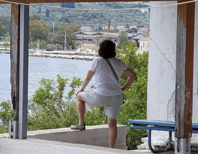 Laura Horton, 53, at the villa where she was bitten. // A woman was bitten by a bat on holiday - and sought rabies treatment thanks to Google Lens. Laura Horton, 53, was on a two-week birthday trip to Lesbos, Greece, in May 2026 when she found a bat drowning in the swimming pool at apartment complex where she was visiting a friend. She grabbed the animal from the water and let it sit in her hand for 10 minutes to "dry off" - unaware it had bitten her before flying away. Laura wanted to know what type of bat she had rescued, so she uploaded a photo of it sitting in the palm of her hand to Google Lens. As well as identifying it as a pipistrelle bat, the AI programme alerted her to seek medical treatment immediately due to the risk of contracting rabies from handling the animal. She also claimed Google Lens warned her that she would be unable to feel a bat bite as their teeth are too small, and on closer inspection, Laura noticed two tiny pin-prick bite marks. According to the NHS website, rabies is a rare but serious infection that is usually caught from an infected animal's bite or scratch, and it is almost always fatal once symptoms appear. Photo released 14/07/2026