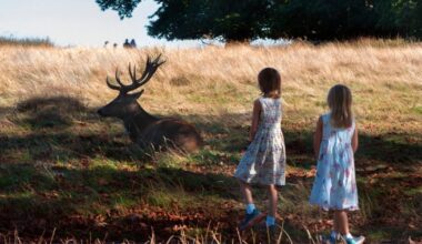 Parents filmed risking their children's lives in Richmond Park | News UK