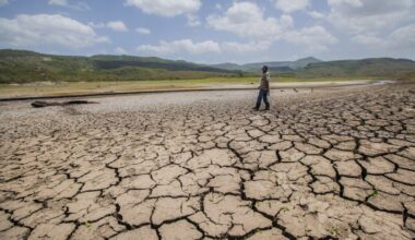 How El Niño weather patterns will change the UK after a month, a year and longer