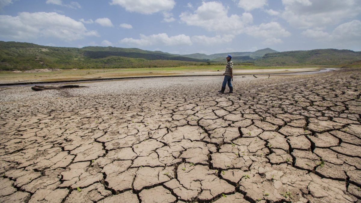 How El Niño weather patterns will change the UK after a month, a year and longer