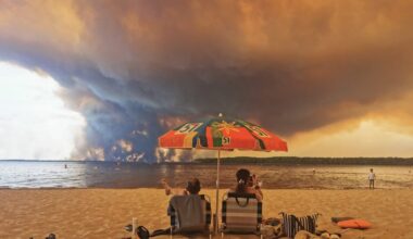 The pictures that show the devastating wildfires ravaging France and Spain