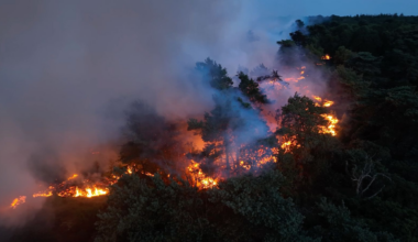 Huge fire rips through Dunwich Heath - just miles from Sizewell nuclear power plant