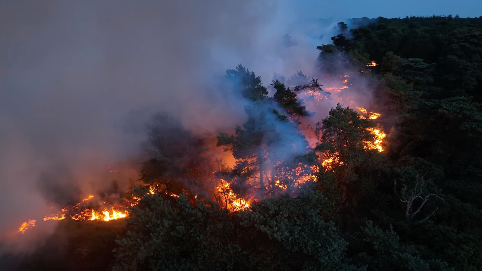 Huge fire rips through Dunwich Heath - just miles from Sizewell nuclear power plant