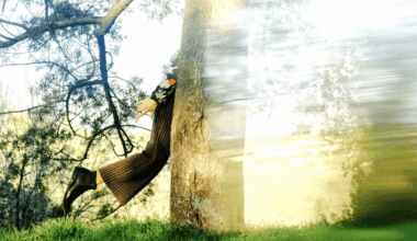 Shannon Lay : Past the Veil Album Review