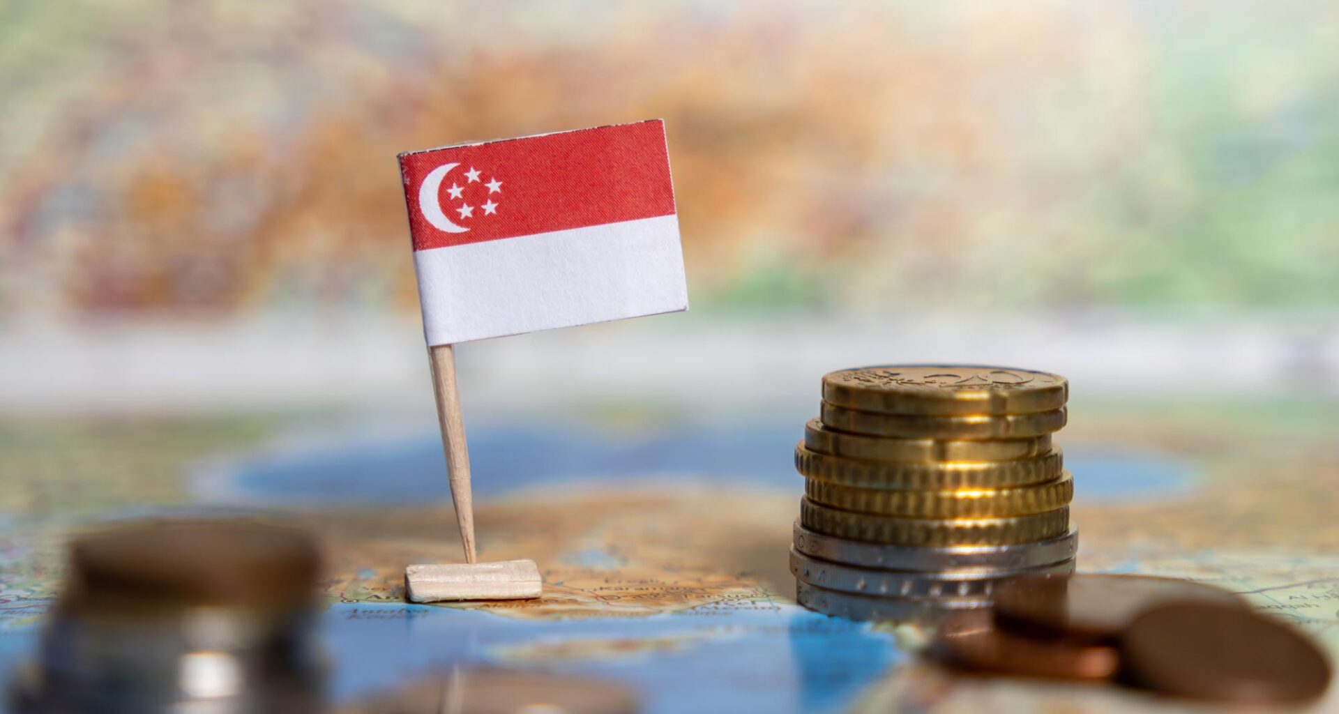 Singapore Flag Map Money Economy