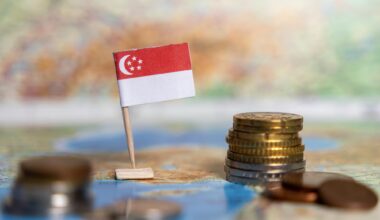 Singapore Flag Map Money Economy