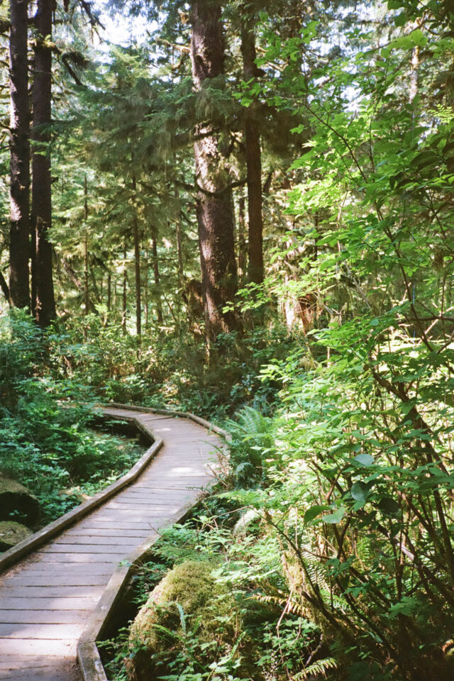 Spiraling on the Tree to Sea Loop
