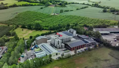 Suntory Invests £14.5m to Strengthen UK Blackcurrant Supply Chain and Future-Proof Ribena Production