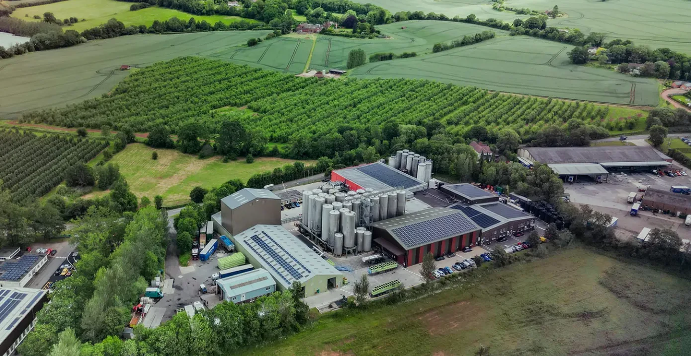 Suntory Invests £14.5m to Strengthen UK Blackcurrant Supply Chain and Future-Proof Ribena Production