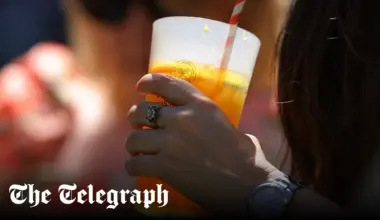 No sweet spot: Wimbledon fans say self-service Pimm’s lacks punch