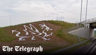 Gone to seed, the £20,000 Welcome to Wales dragon