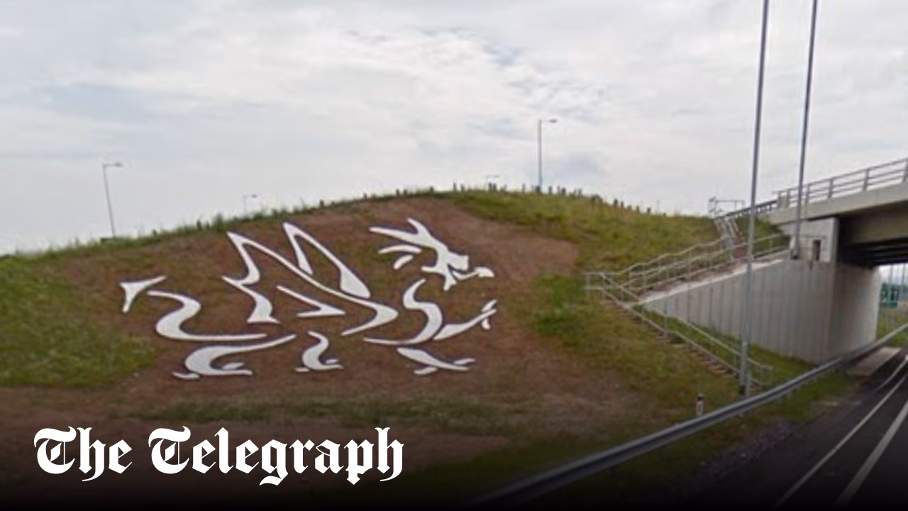 Gone to seed, the £20,000 Welcome to Wales dragon