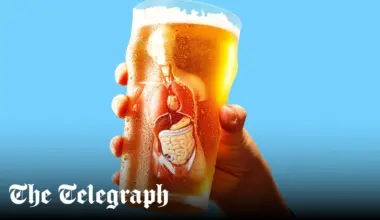 Why daytime drinking makes you feel more tipsy