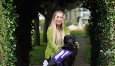 Meet Tori the hospital dog: ‘One of the best things we have done’ – The Irish Times