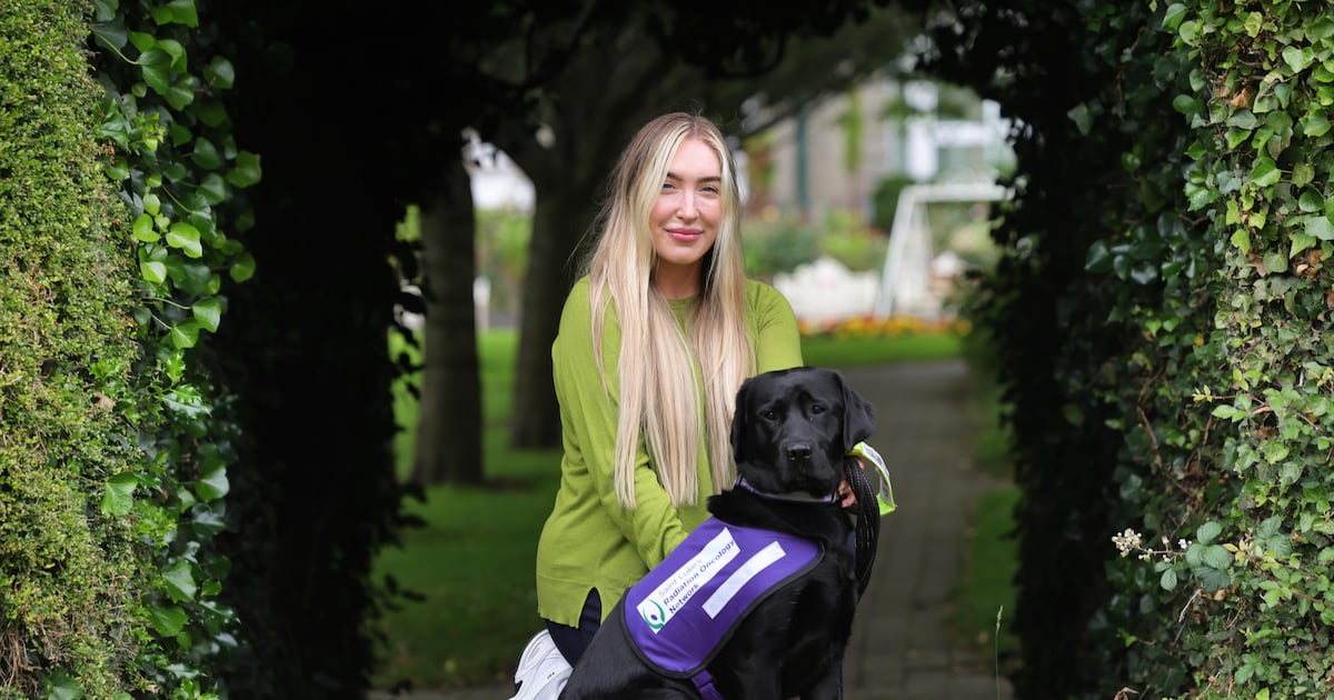 Meet Tori the hospital dog: ‘One of the best things we have done’ – The Irish Times