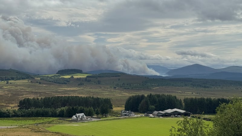 Smoke rising near Nethy Bridge during the wildfire in the Cairngorms National Park, Scotland. Photograph: Sandy McCook/PA Wire