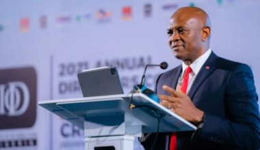 Tony Elumelu Foundation Backs 27,000 African Entrepreneurs, Beneficiary Businesses Generate $4.2 Billion in Revenue