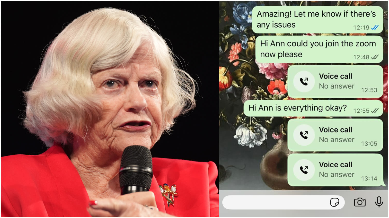 'Is everything okay?': Texts reveal when Ann Widdecombe stopped replying after suspected attack