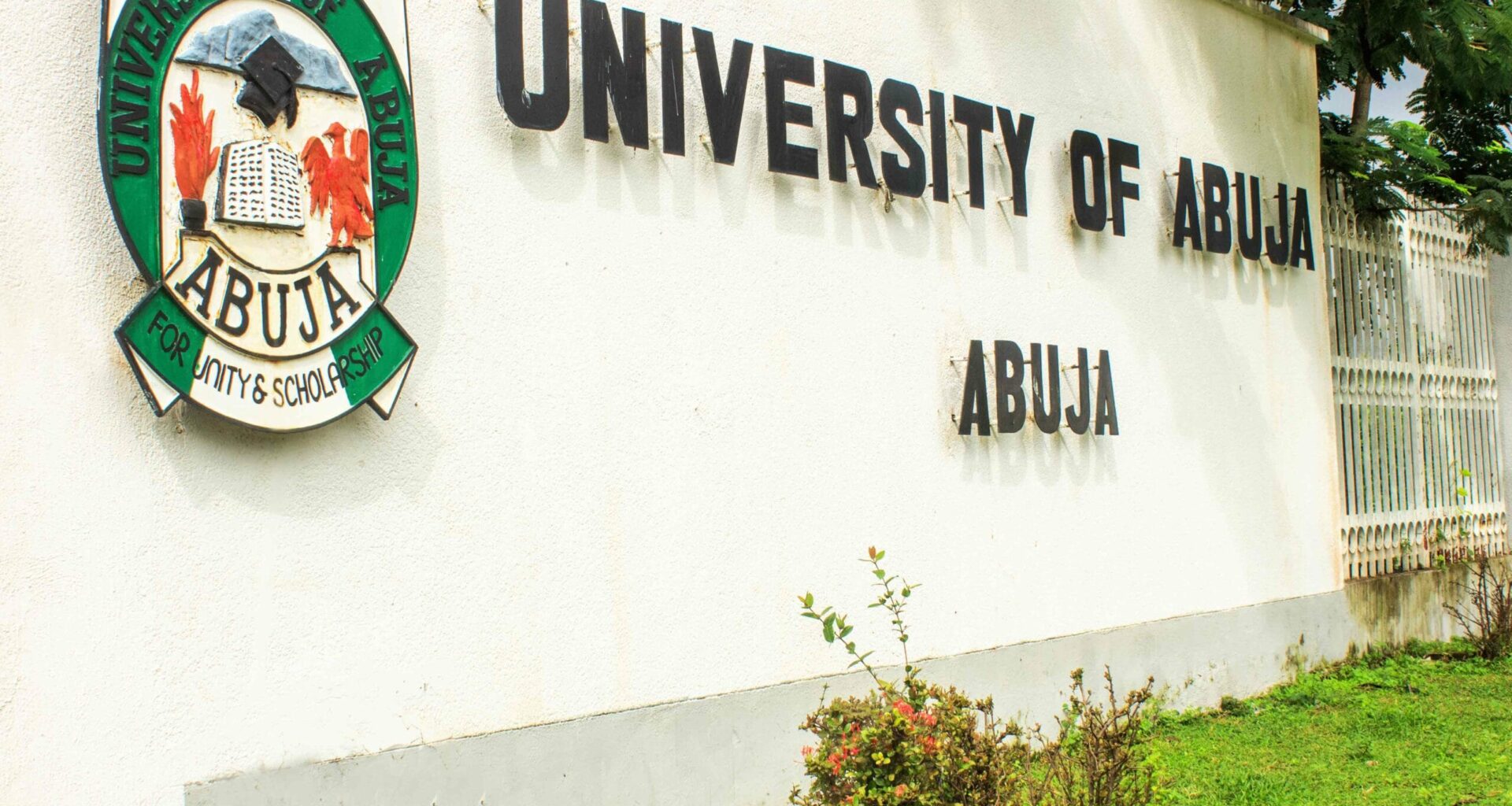 UniAbuja students turn to business amidst rising cost of living – Daily Trust