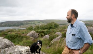 An Irish Atlantic Rainforest review: Strikingly beautiful documentary unearths an alien world – The Irish Times