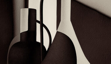Vos_Inbetweentheshadows 1