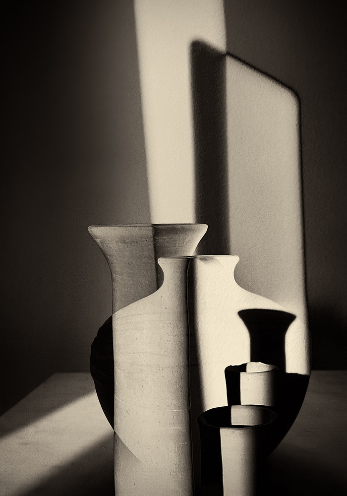 Vos_inbetweentheshadows-2