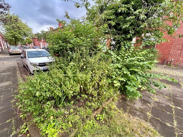 Poorly-maintained area in Deepdale. Credit: Blog Preston