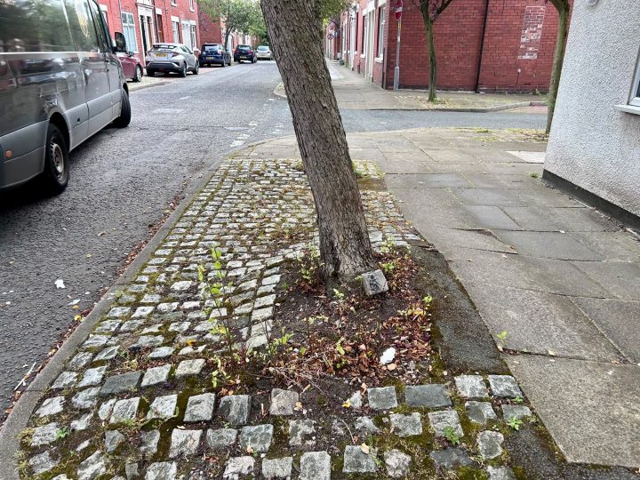 Uneven pavements due to size of trees in Deepdale. Credit: Blog Preston