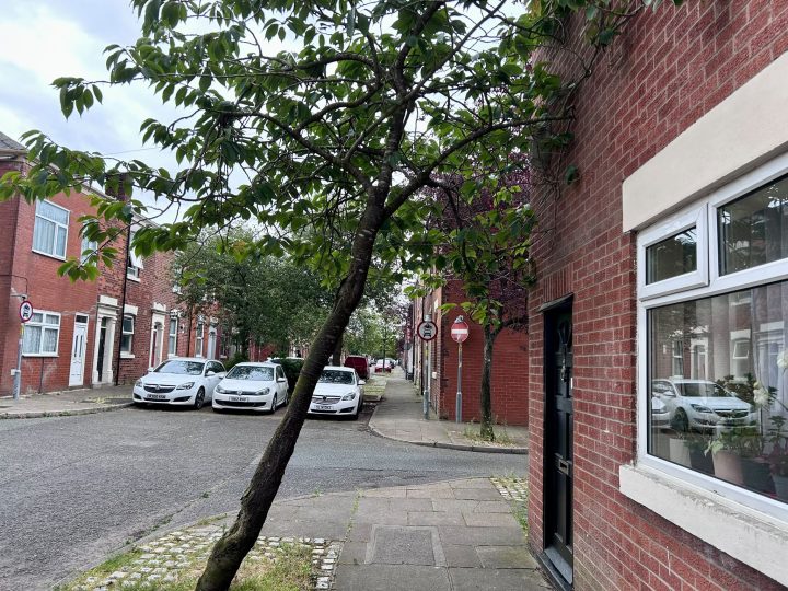 Trees in Deepdale. Credit: Blog Preston