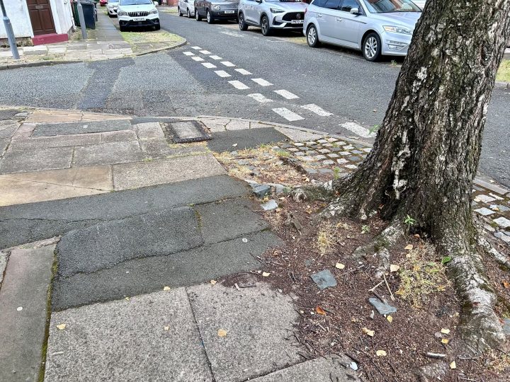 Uneven pavements due to size of trees in Deepdale. Credit: Blog Preston