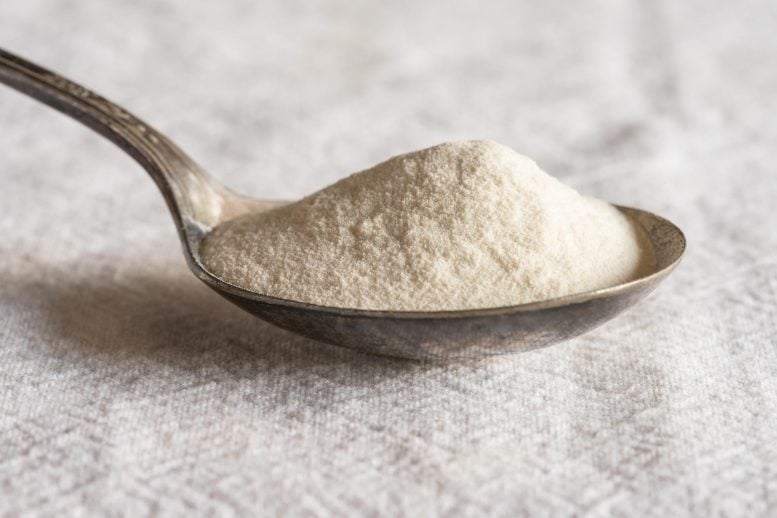 Xanthan Gum Spoon