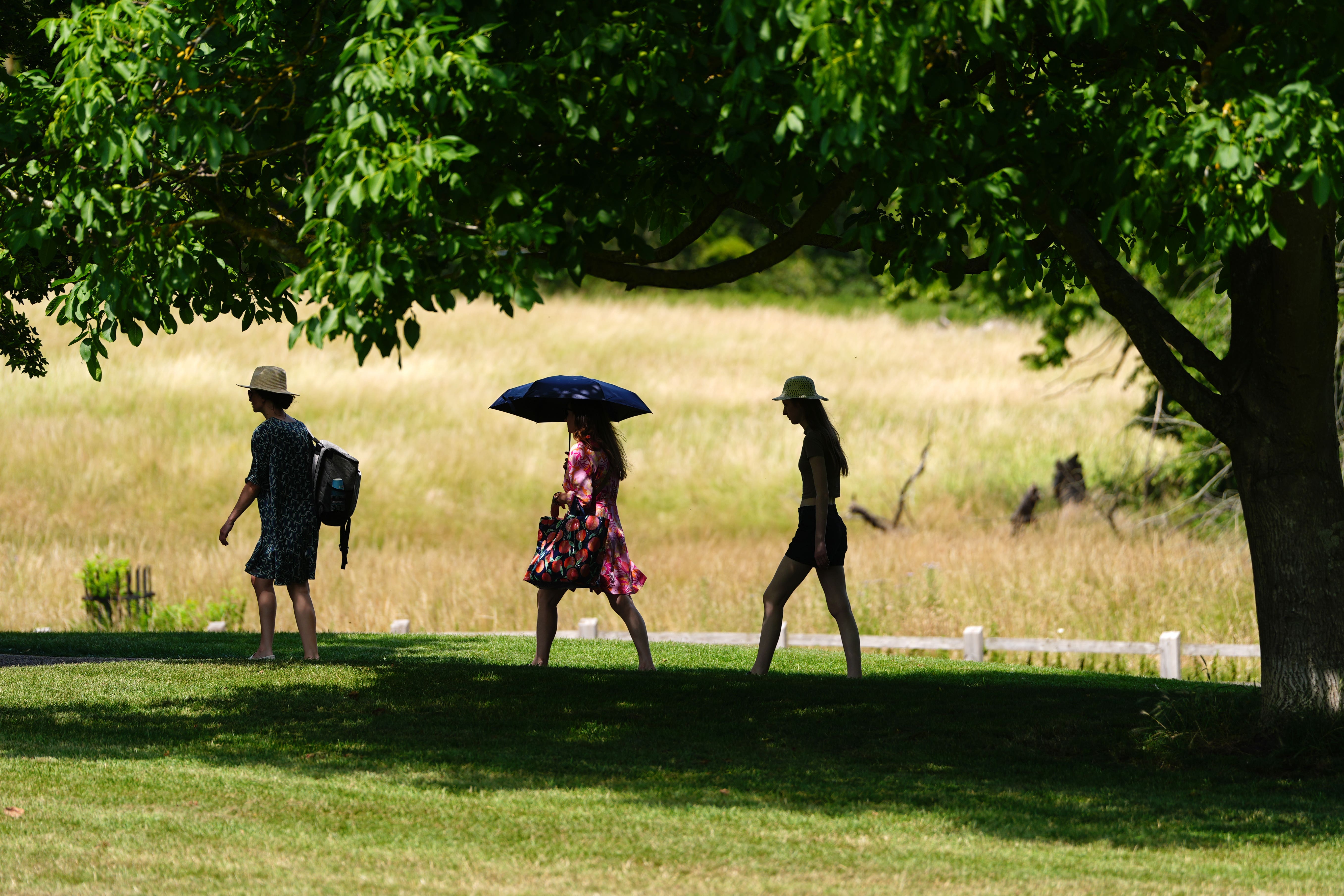 People shelter from the sun in Ely Park in Cambridgeshire on 26 June, during the intense heatwave that sent temperatures soaring in much of the UK