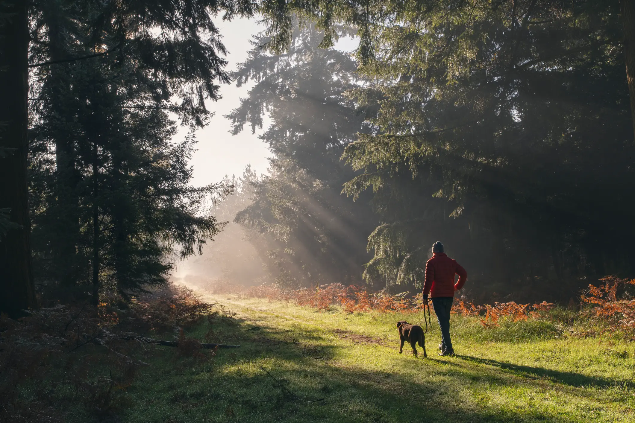 Meanwhile nasal breathing and making a beeline for the outdoors can be beneficial to our health (Getty Stock Images)