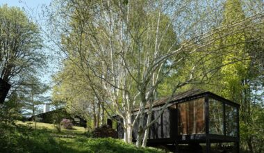 A four-building forest retreat comes up for sale on the Danish seaside