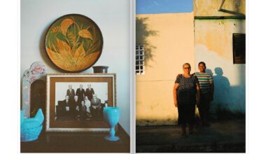 Éditions LeMégot : Juliette Malveau Amado : Amada família