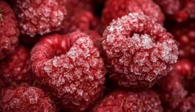 Are frozen and canned vegetables as good as the fresh ones? Here's what you need to know