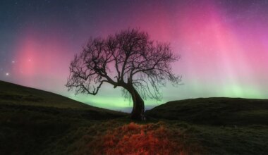 An Expert's Guide To Tonight's Surprise Aurora Australis: See In Your City