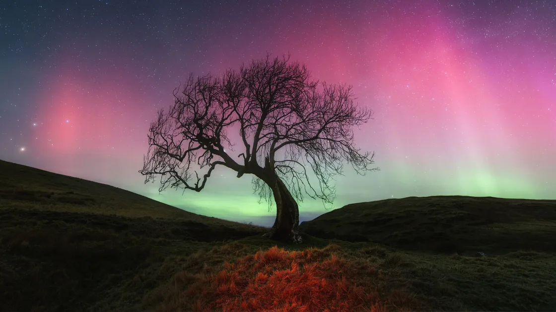 An Expert's Guide To Tonight's Surprise Aurora Australis: See In Your City