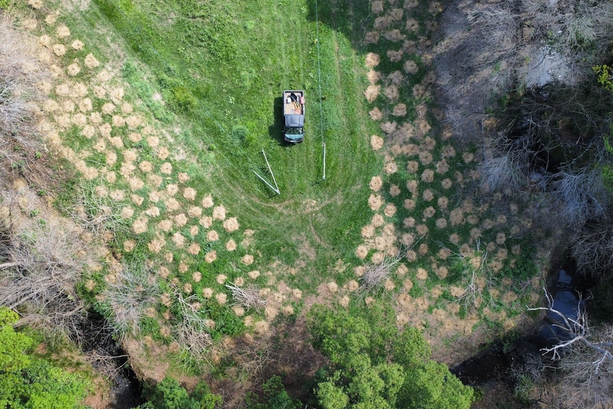 Bird eye view shot of farm land showing lots of new plantings on Jeff Imeson's property in the Northern Rivers
