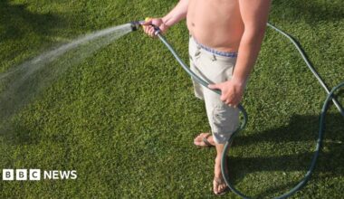 A blue plastic paddling pool in the garden, with a green hose running into it. It is  next to a mini tent full of plastic lightweight balls.