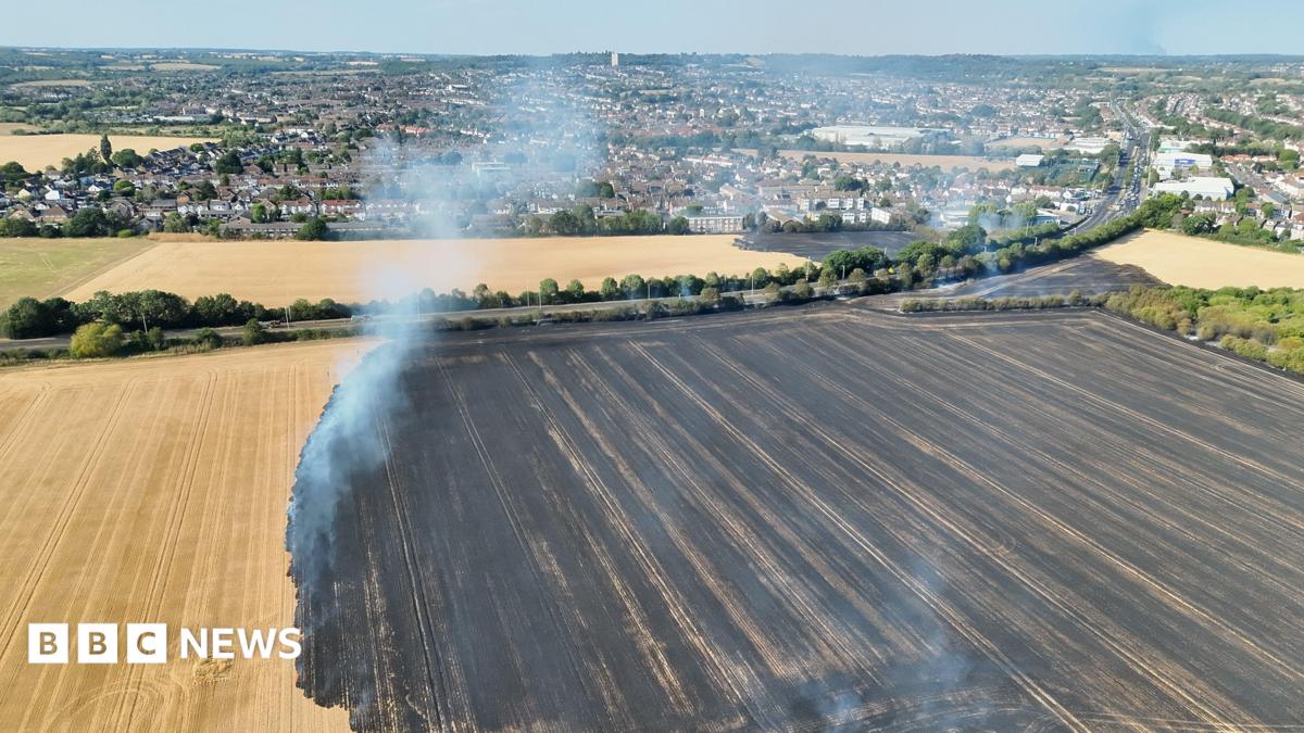 Aerial view of extensive fire damage to fields near Eastern Avenue West in Romford. Large areas of scorched land and drifting smoke can be seen, with a fire engine positioned near the edge of the burned field.