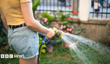 A stock photo shows a person holding a yellow hosepipe with water spraying out of it in a garden with a lawn and rosebush in view.
