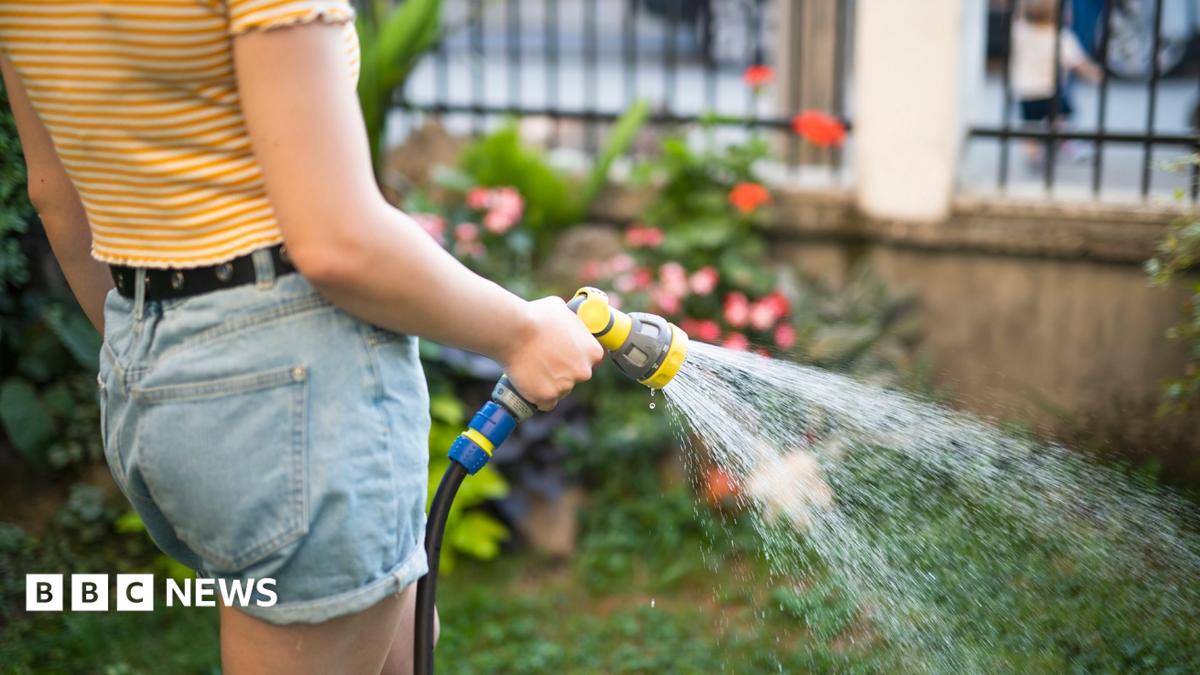 A stock photo shows a person holding a yellow hosepipe with water spraying out of it in a garden with a lawn and rosebush in view.