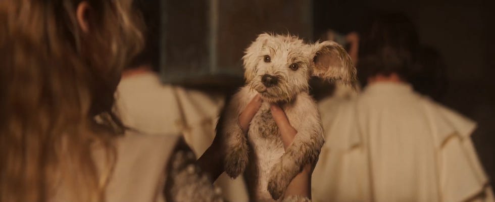 Baby Krypto, Supergirl, Superbowl trailer baby krypto, supergirl, superbowl trailer